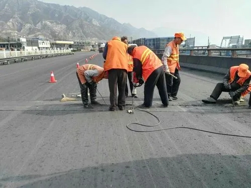 大东道路桥梁病害治理